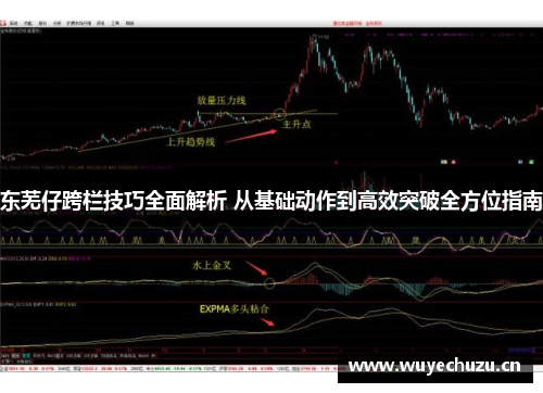 东芜仔跨栏技巧全面解析 从基础动作到高效突破全方位指南