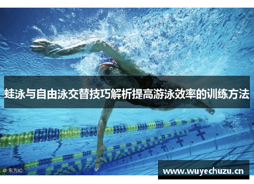 蛙泳与自由泳交替技巧解析提高游泳效率的训练方法