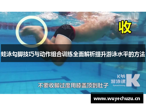 蛙泳勾脚技巧与动作组合训练全面解析提升游泳水平的方法
