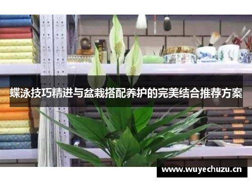 蝶泳技巧精进与盆栽搭配养护的完美结合推荐方案