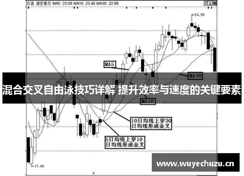 混合交叉自由泳技巧详解 提升效率与速度的关键要素